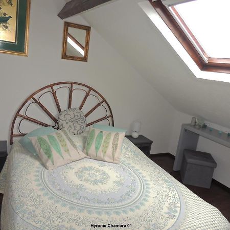 Gite Hyrom 5 Places Moulin De La Placette Faye-d'Anjou Екстериор снимка