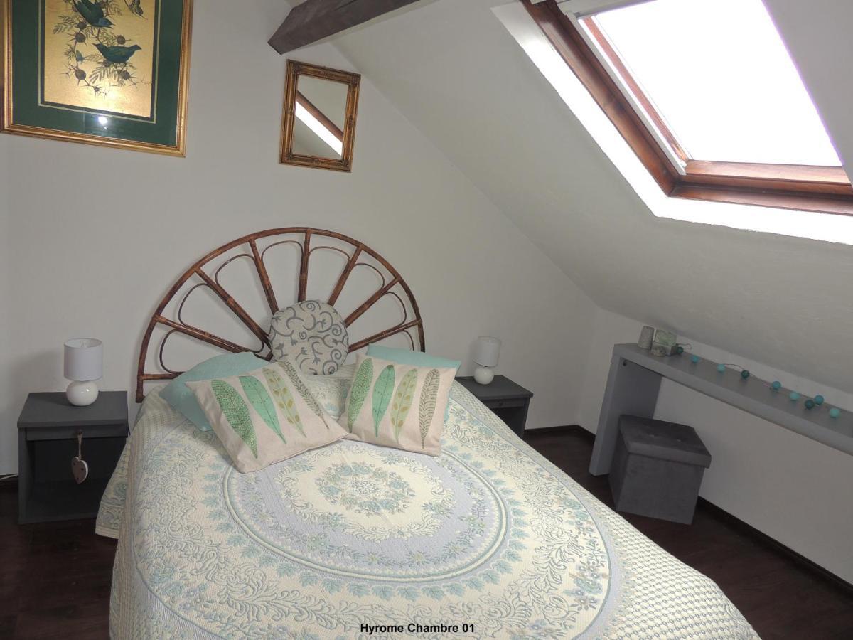 Gite Hyrom 5 Places Moulin De La Placette Faye-d'Anjou Екстериор снимка